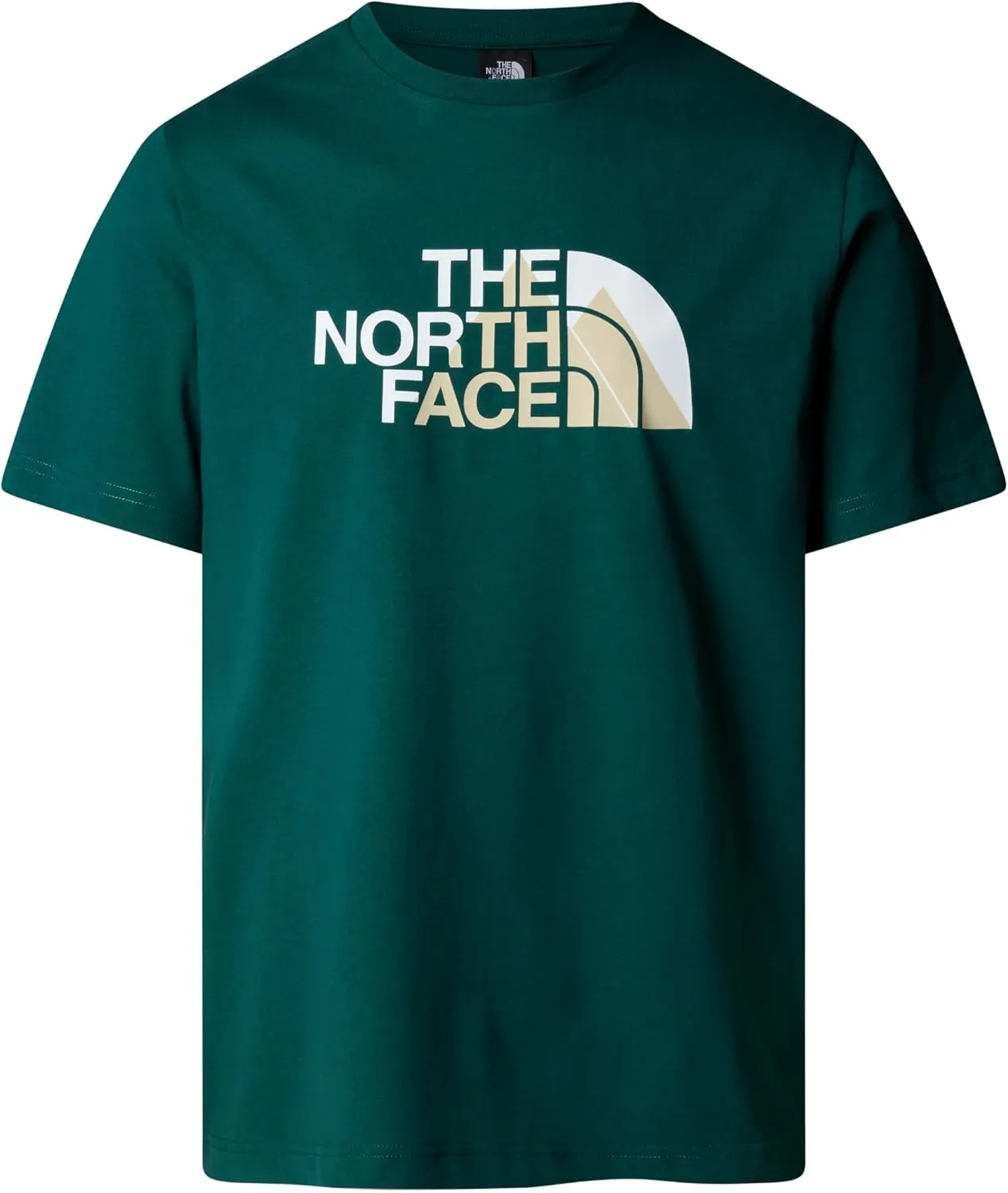 THE NORTH FACE Men's Biner 1 Graphic Tee