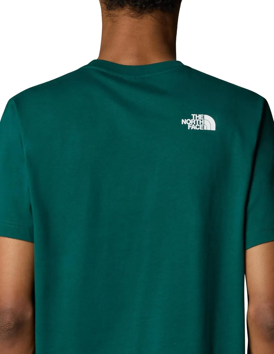 THE NORTH FACE Men's Biner 1 Graphic Tee