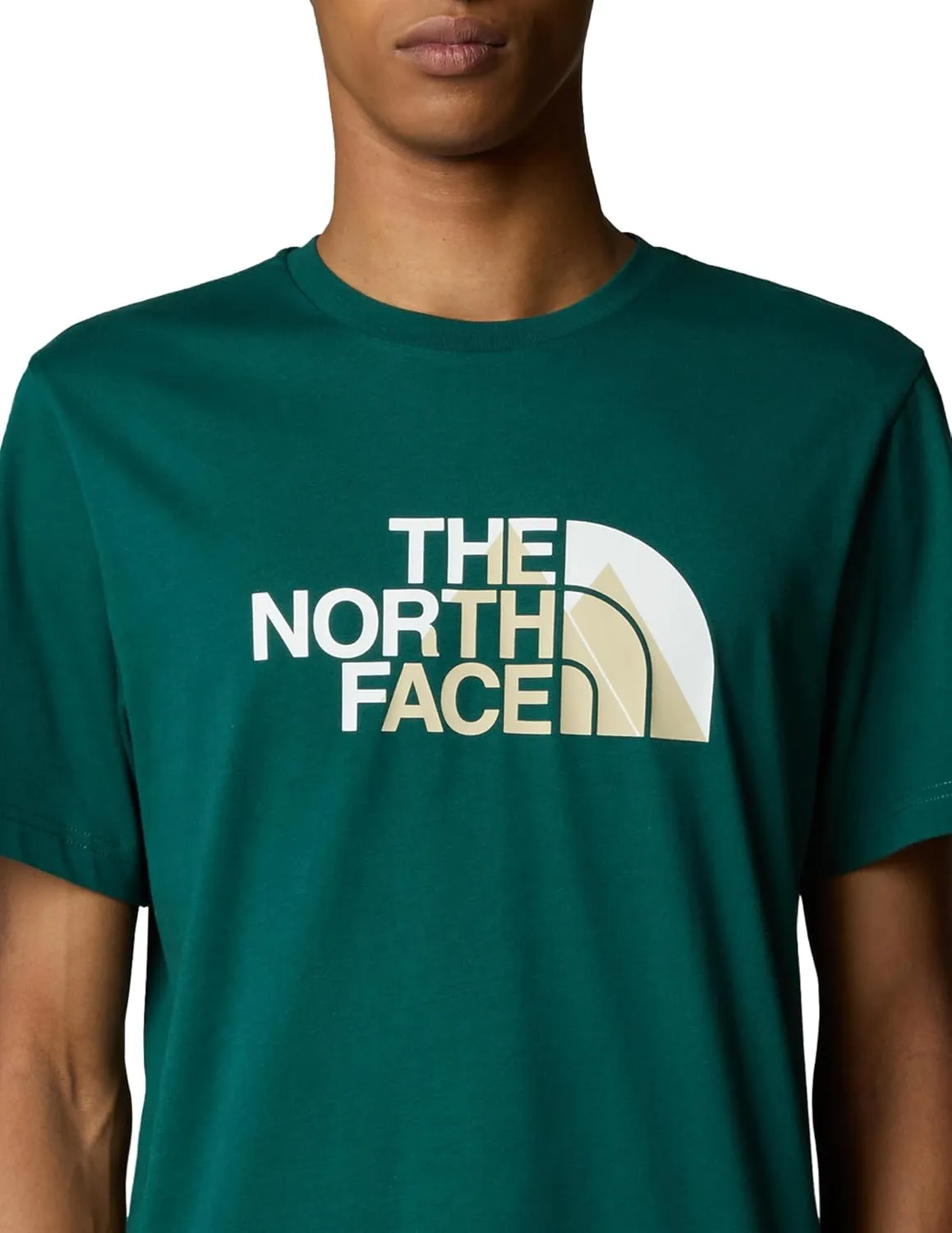 THE NORTH FACE Men's Biner 1 Graphic Tee
