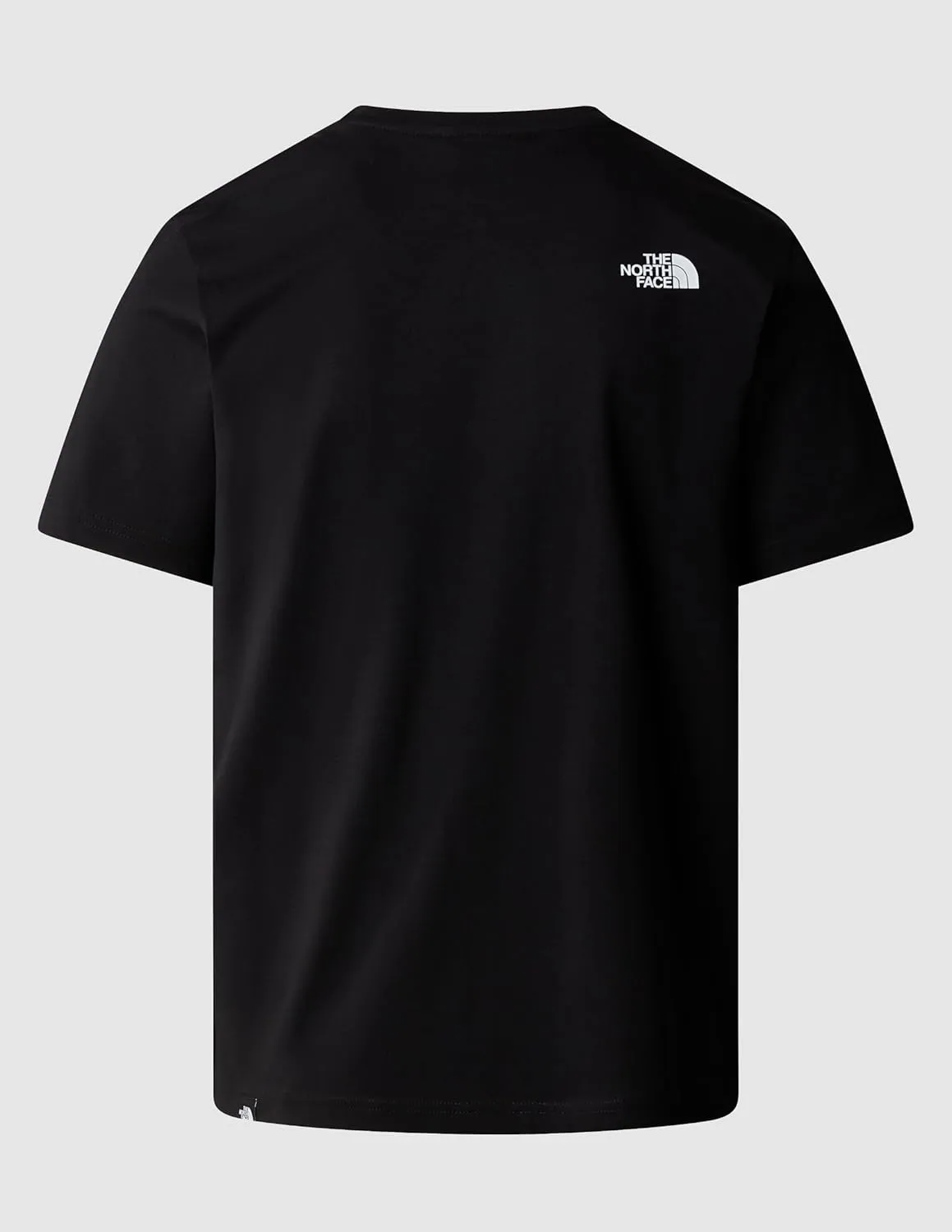 THE NORTH FACE Men's Biner 1 Graphic Tee