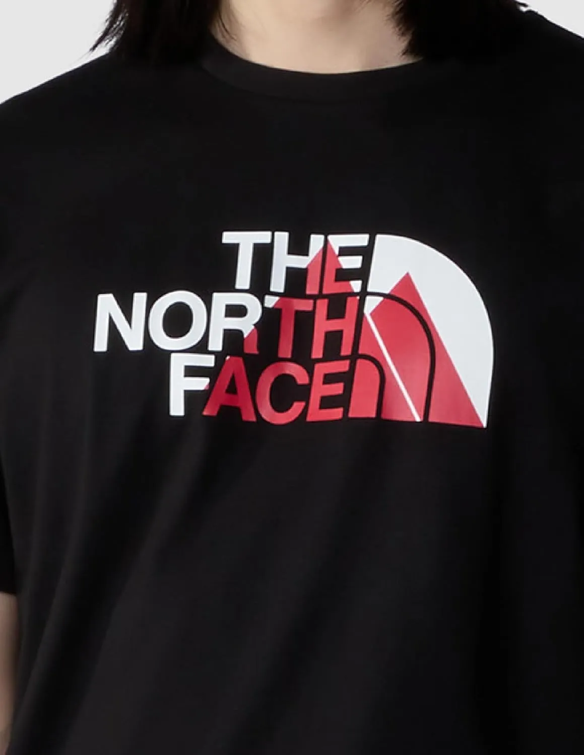 THE NORTH FACE Men's Biner 1 Graphic Tee
